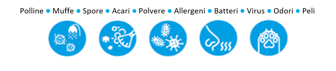 polveri e allergeni